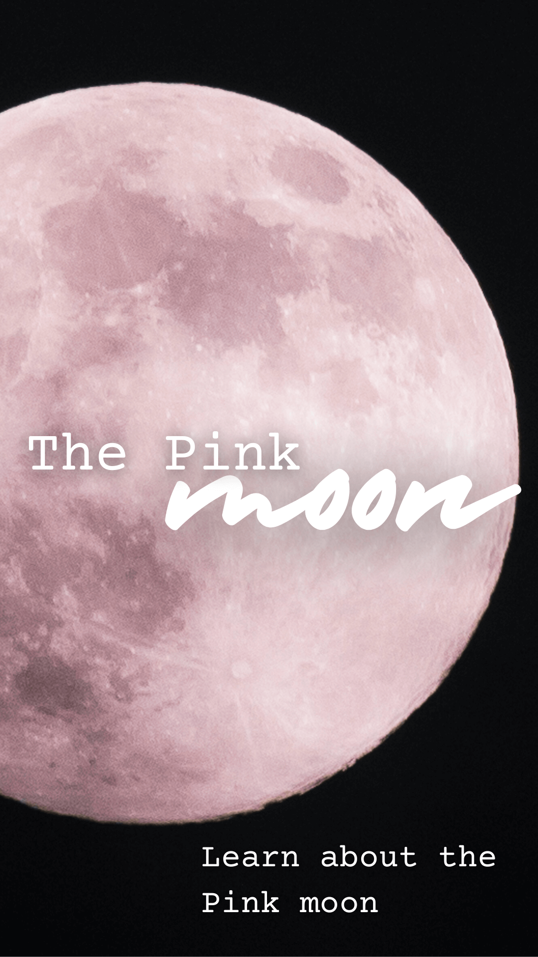 The Pink Moon