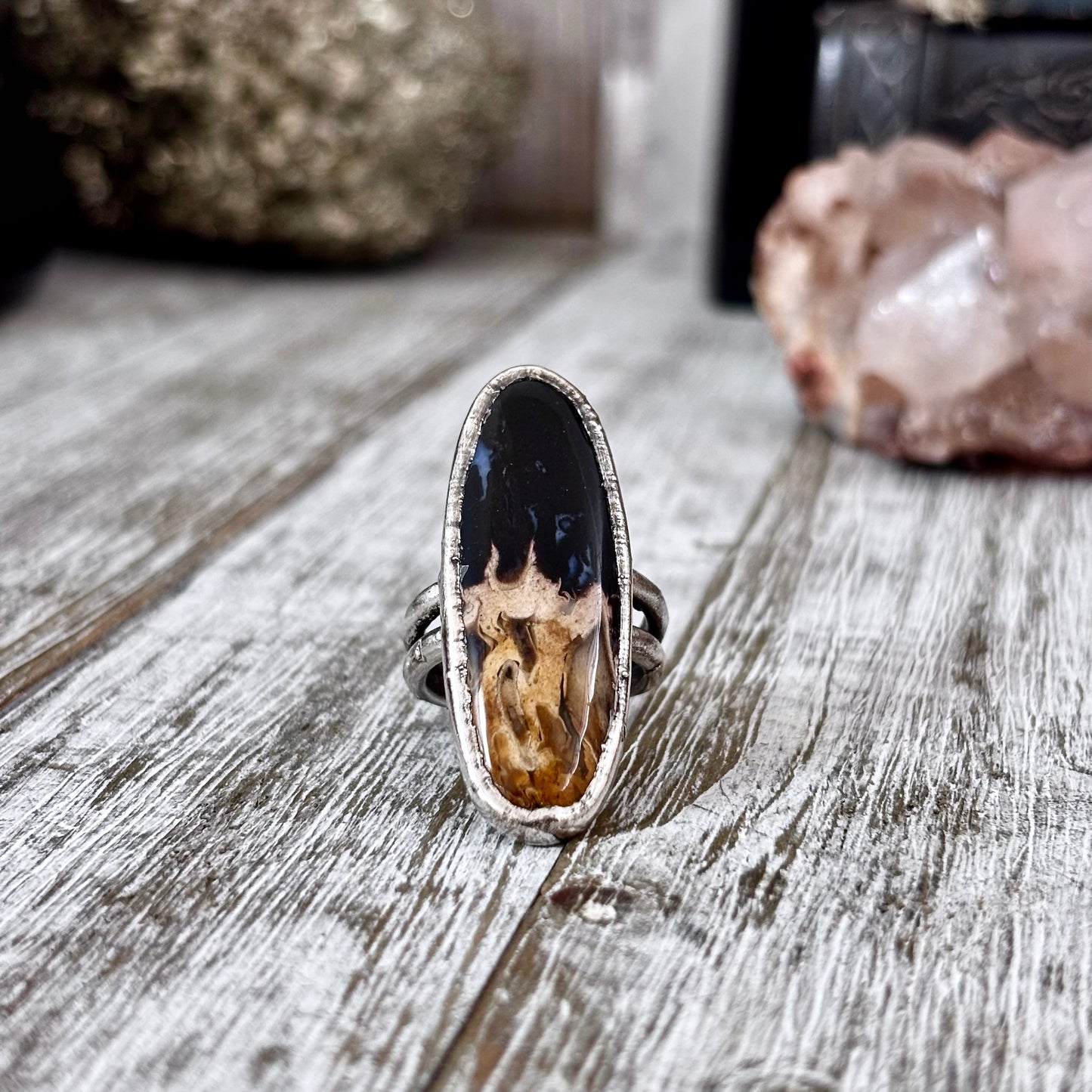 Fossilized Palm Root Ring Size 6.5 / Foxlark Crystal Jewelry Collection