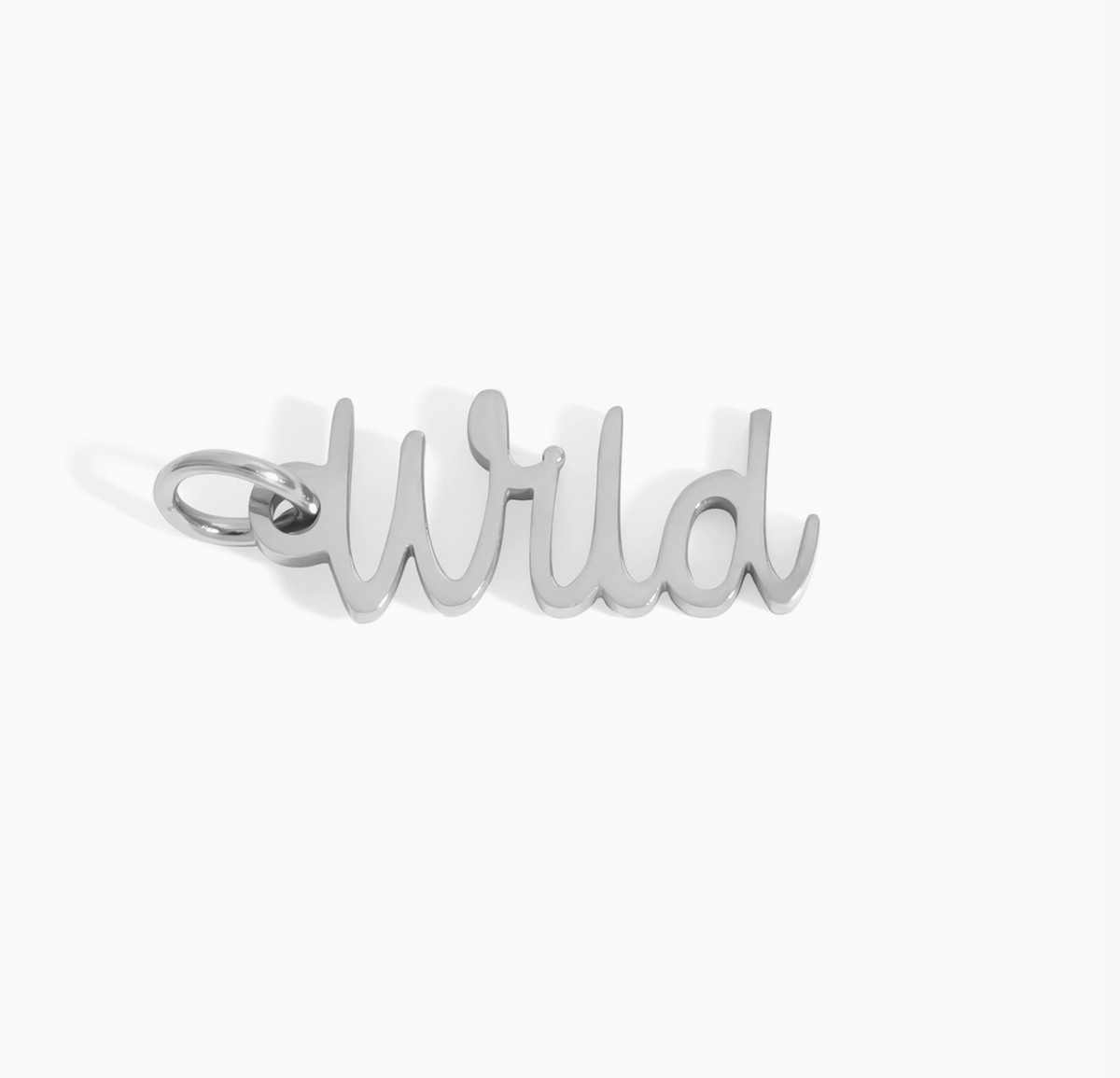 Tiny Trinkets Collection- Stainless Steel Wild Charm 0.67" x 0.27" / Curated Collection FOXLARK