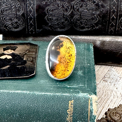 The Colossal Collection - Baltic Amber Ring Fine Silver Size 7.5 / One of a Kind FOXLARK