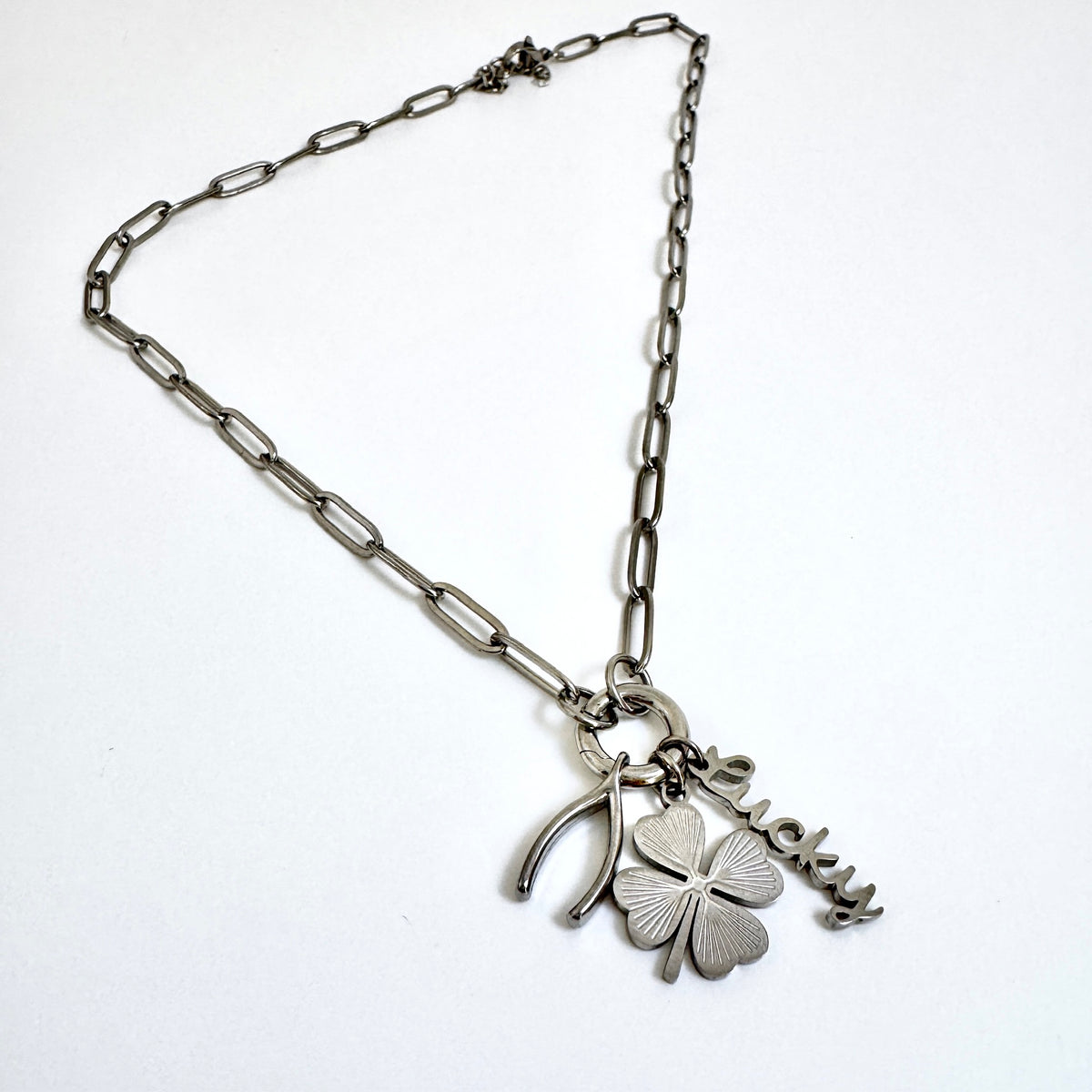 Tiny Trinkets Collection- Stainless Steel Paperclip Carabiner Charm Holder Necklace / Curated Collection FOXLARK