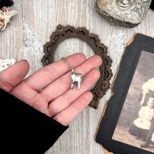 Silver Tooth Necklace Fine Silver / Foxlark Collection - One of a Kind