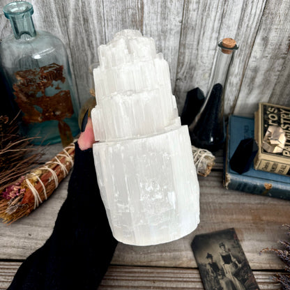 Large Self Standing Selenite Crystal Lamp/ FoxlarkCrystals