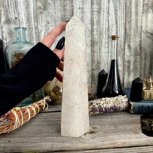 Large Self Standing Clear Quartz Crystal Point / FoxlarkCrystals