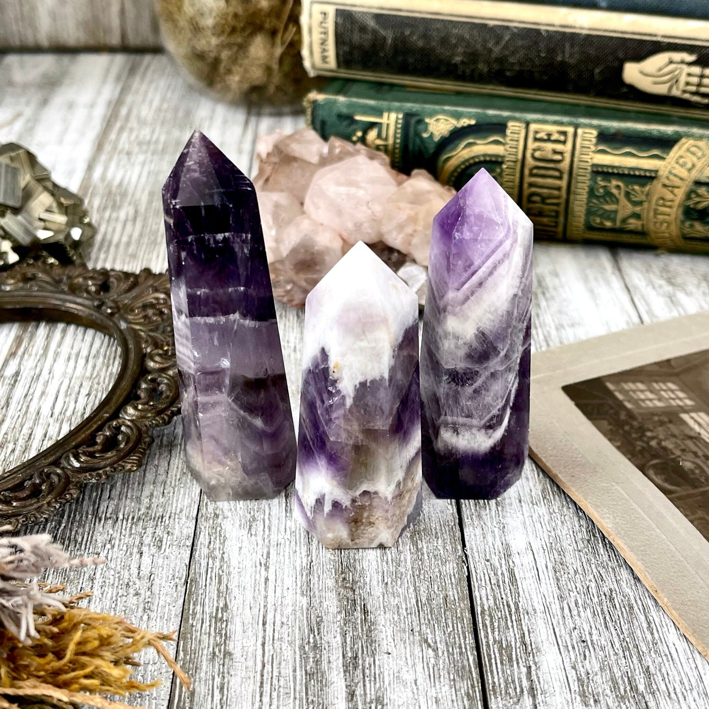 Chevron Amethyst Crystal Point Self Standing / FoxlarkCrystals