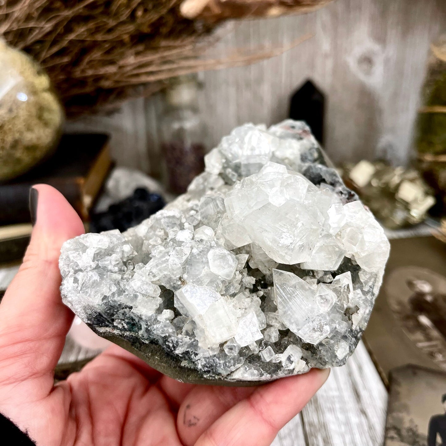 Apophyllite Crystal Cluster / FoxlarkCrystals